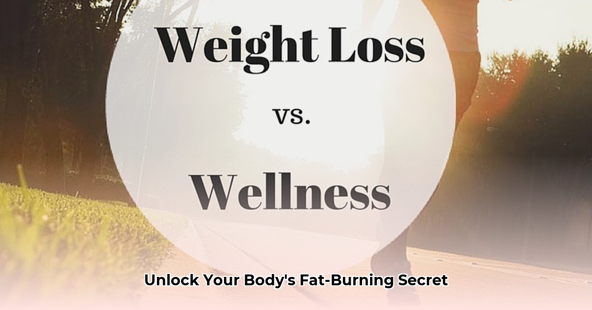 my-wellness-weight-loss